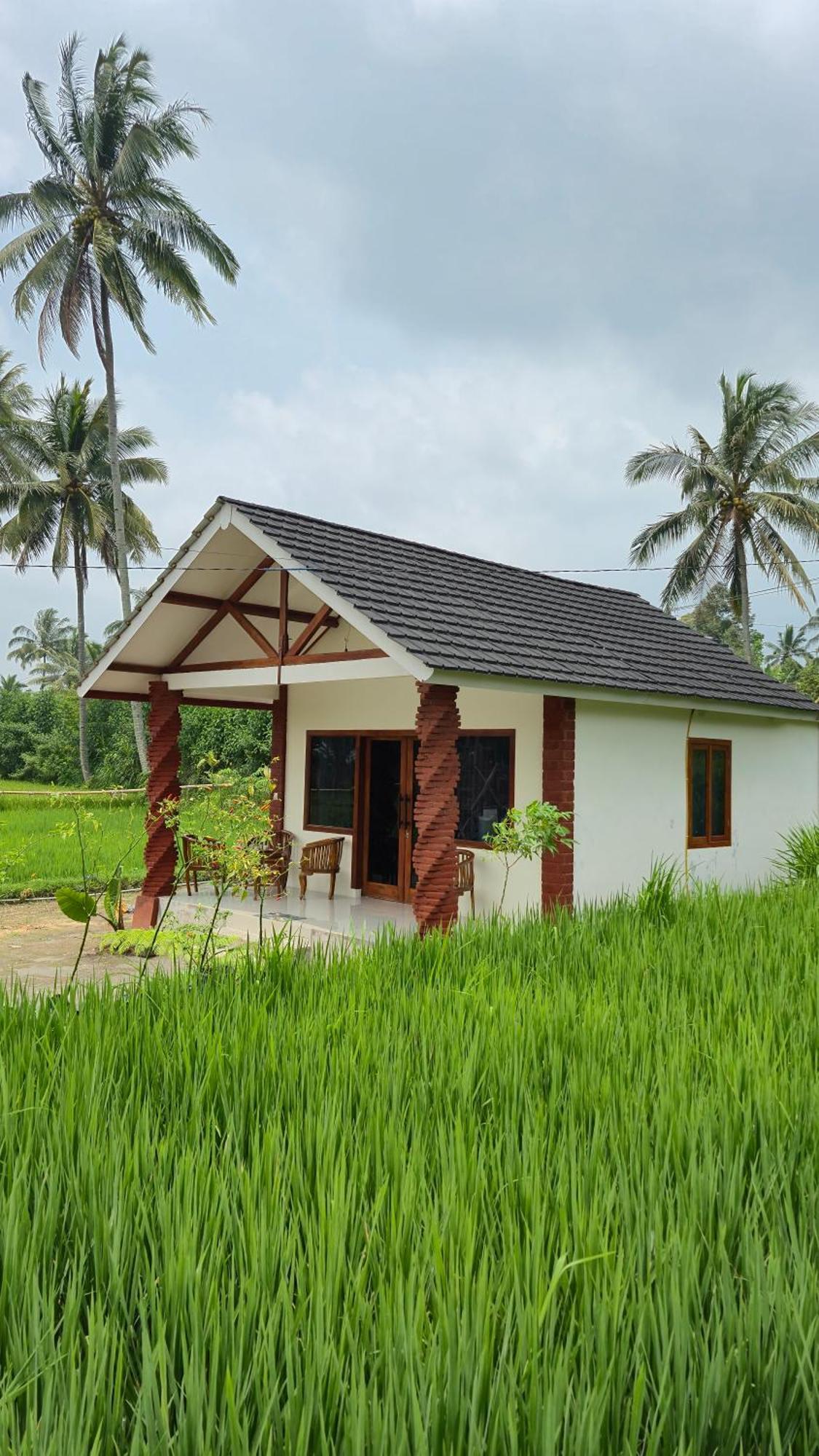 Rice Field Inn - Lombok Tetebatu Exteriér fotografie