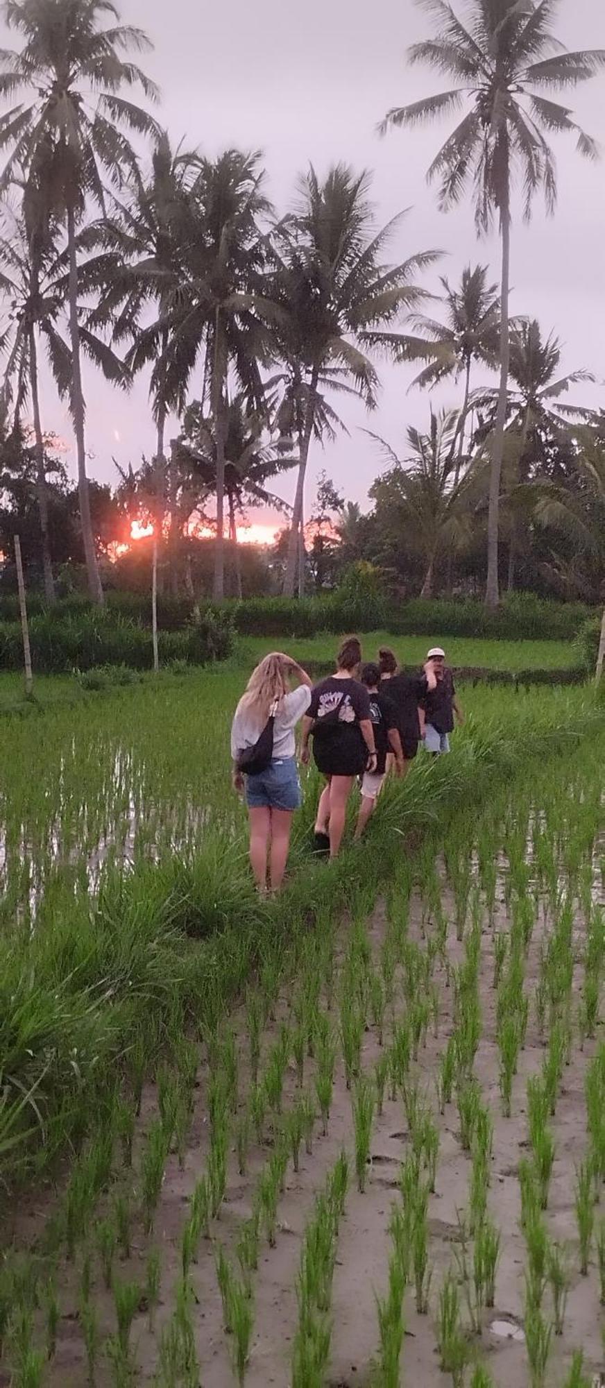 Rice Field Inn - Lombok Tetebatu Exteriér fotografie