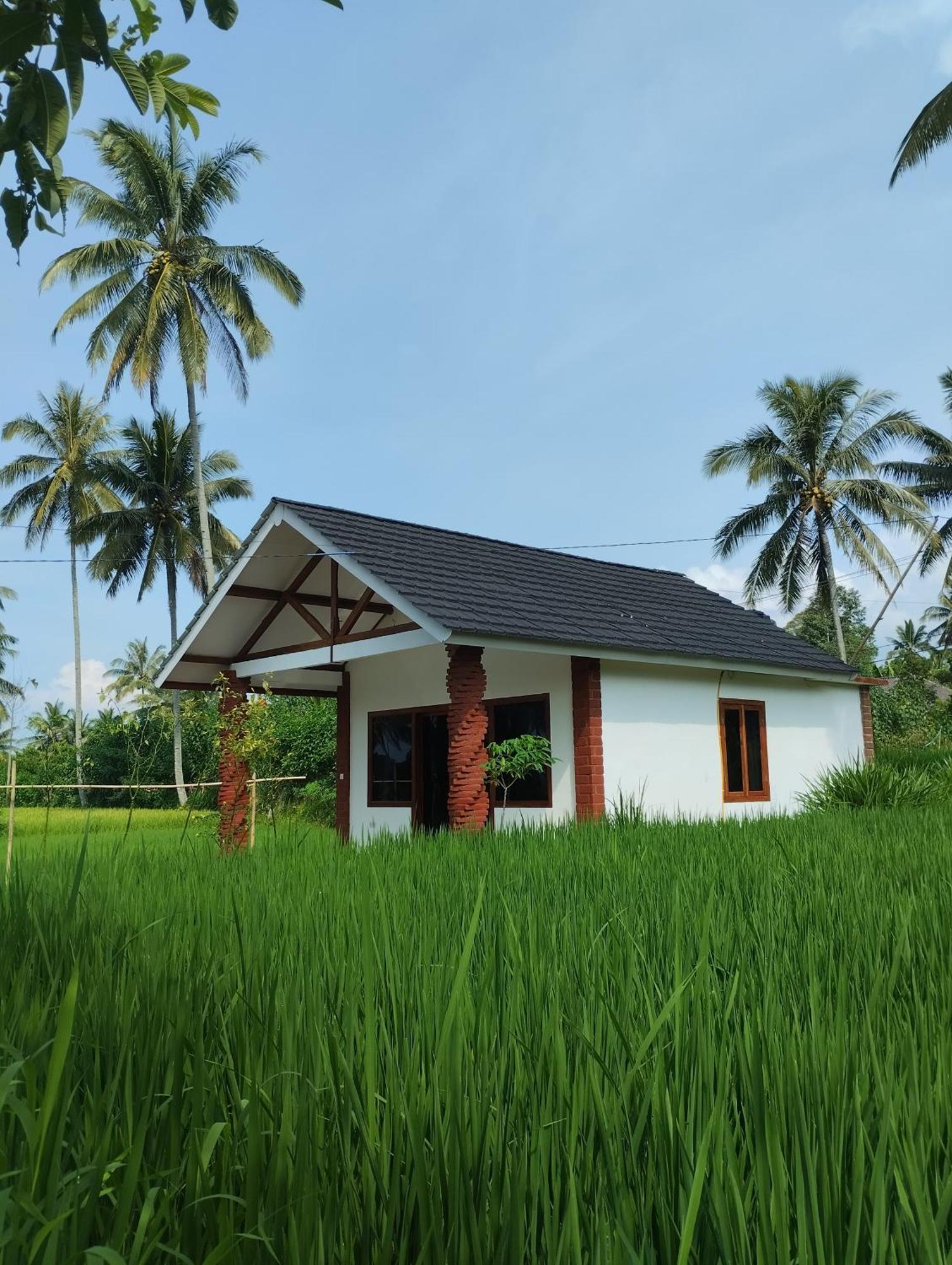 Rice Field Inn - Lombok Tetebatu Pokoj fotografie