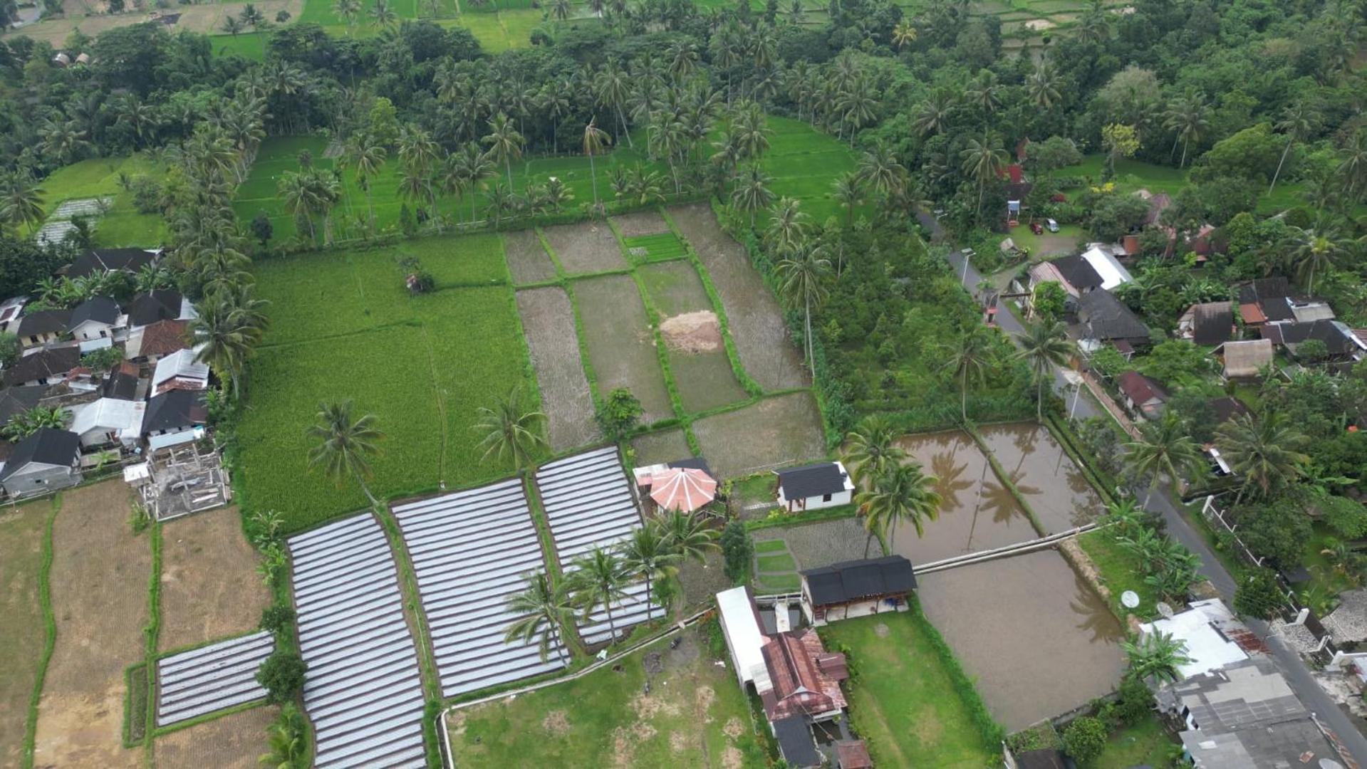 Rice Field Inn - Lombok Tetebatu Exteriér fotografie