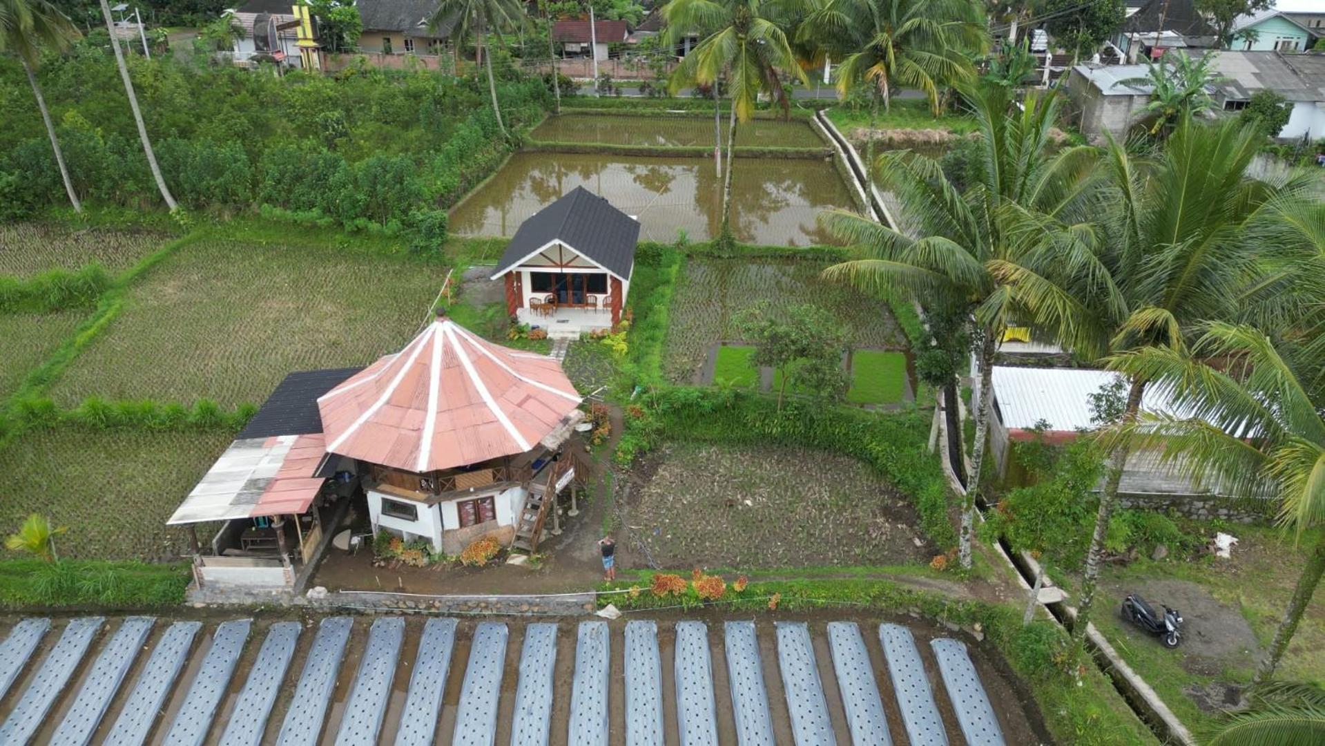 Rice Field Inn - Lombok Tetebatu Exteriér fotografie