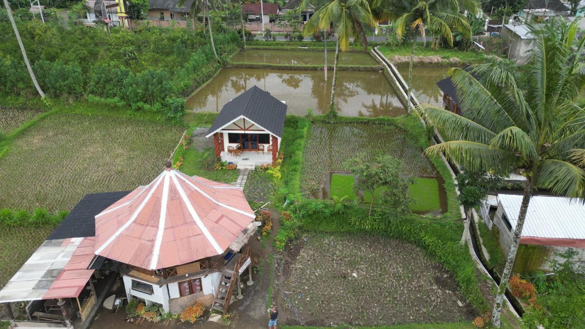 Rice Field Inn - Lombok Tetebatu Exteriér fotografie
