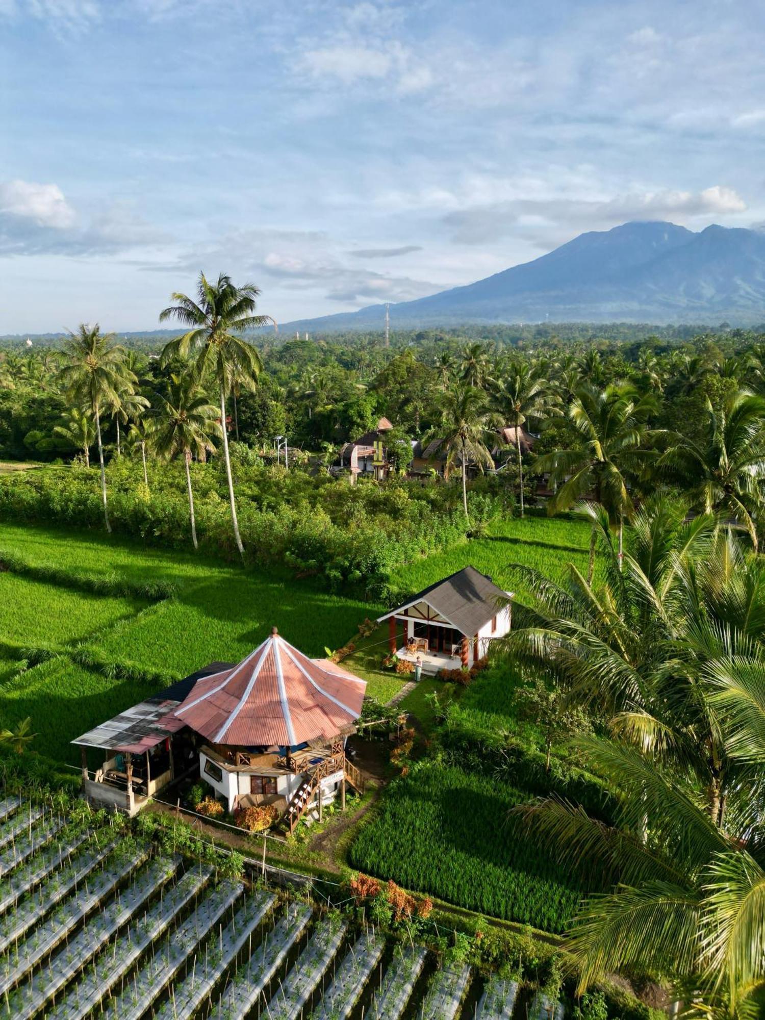 Rice Field Inn - Lombok Tetebatu Exteriér fotografie