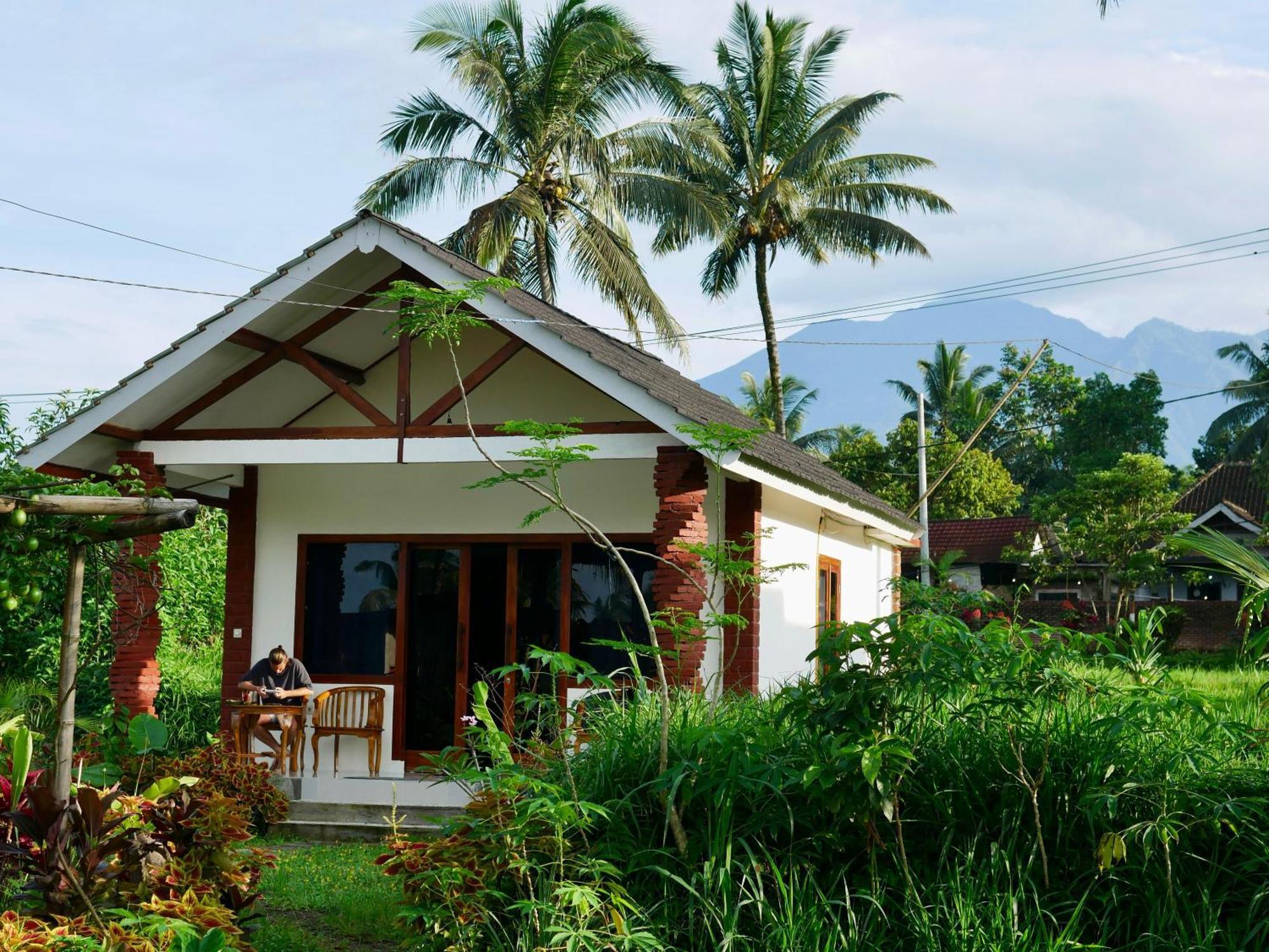 Rice Field Inn - Lombok Tetebatu Exteriér fotografie