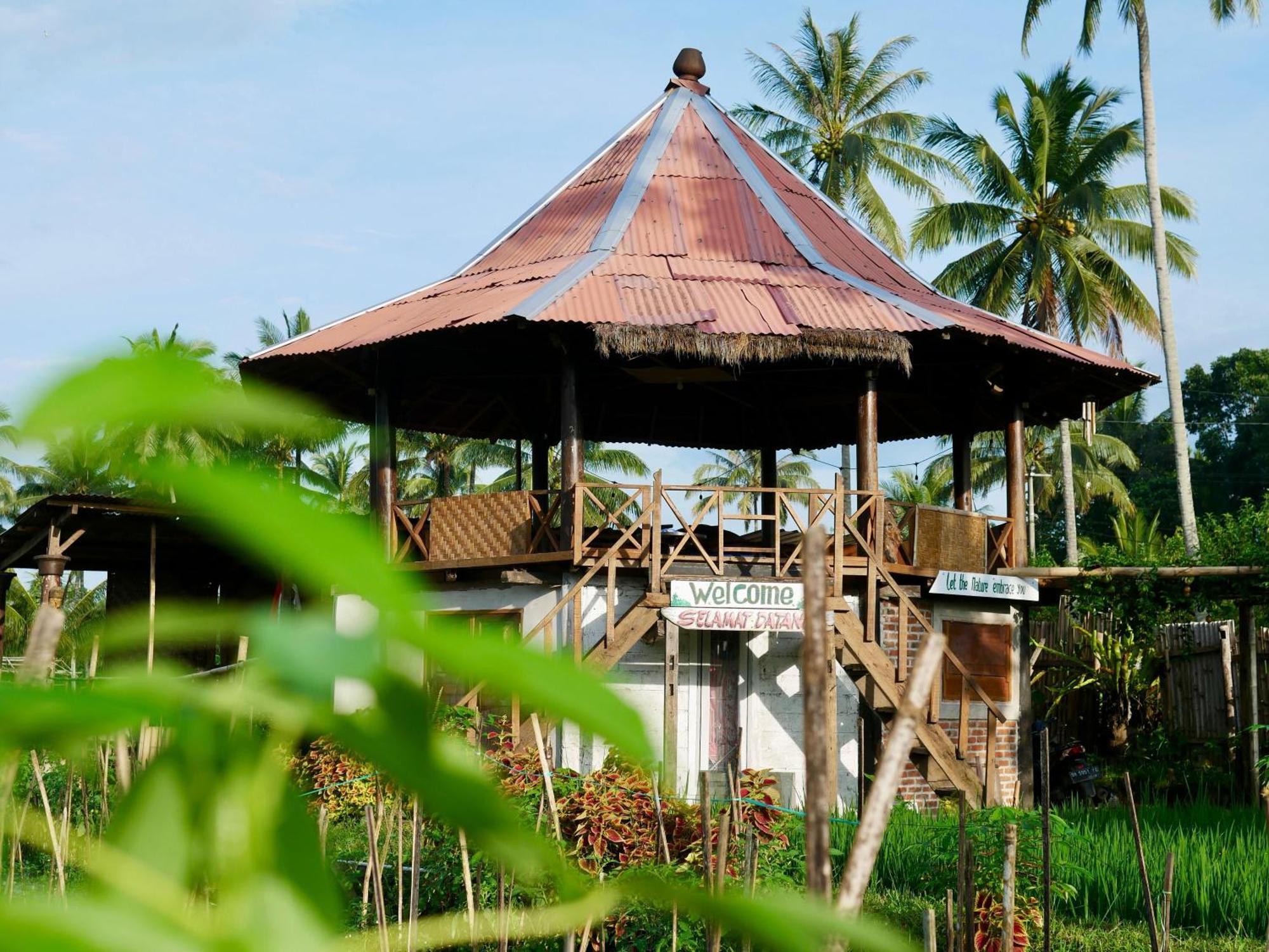 Rice Field Inn - Lombok Tetebatu Exteriér fotografie