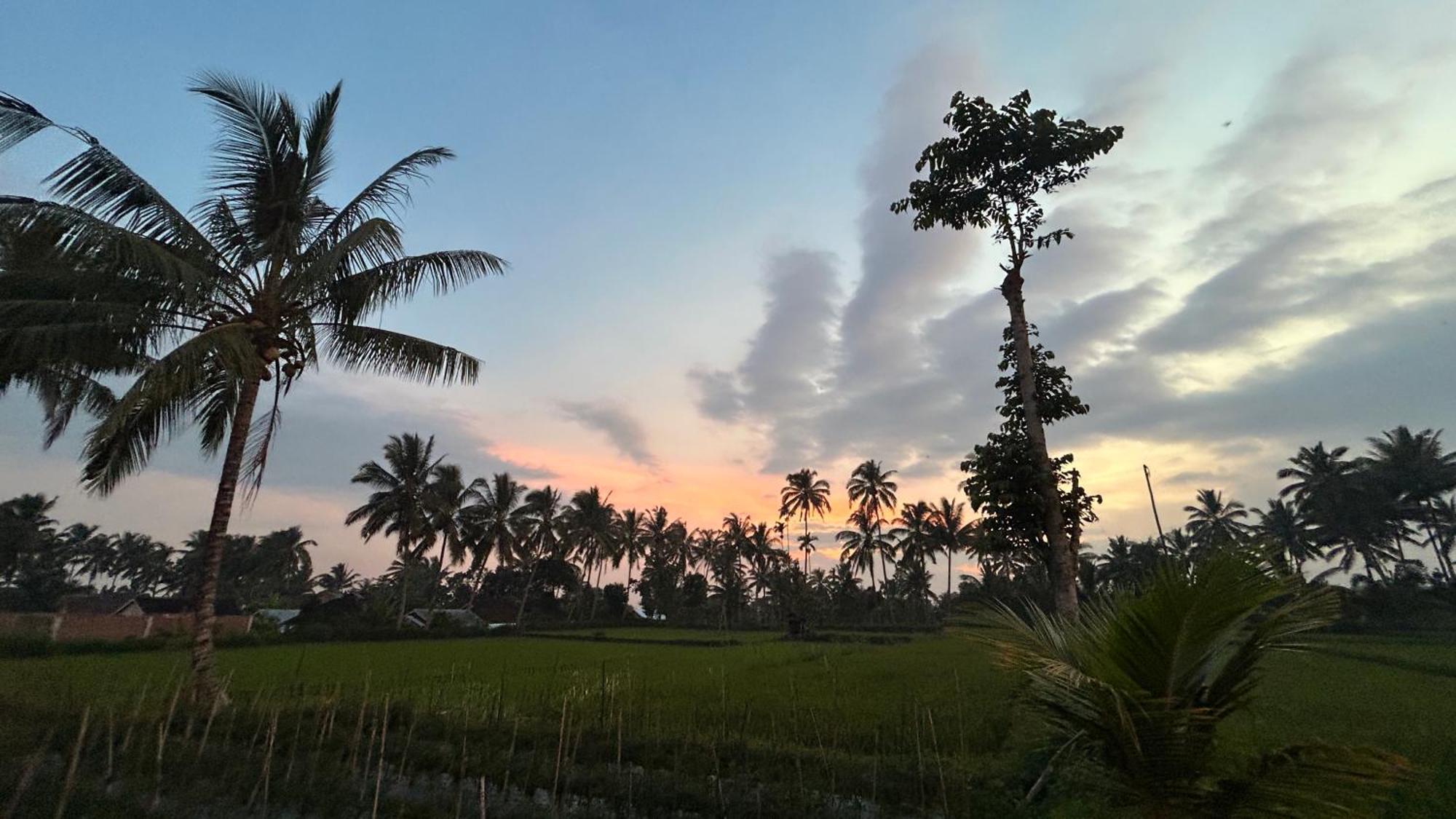 Rice Field Inn - Lombok Tetebatu Exteriér fotografie